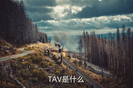 什么是孕線，TAV是什么