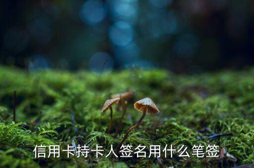 信用卡用什么筆簽名，信用卡持卡人簽名用什么筆簽