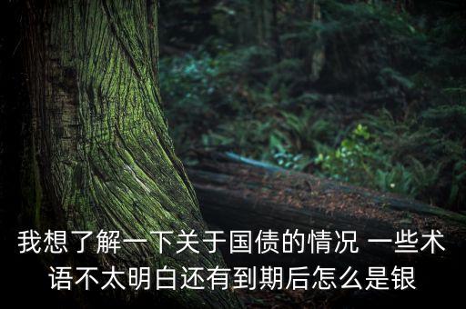 我想了解一下關(guān)于國債的情況 一些術(shù)語不太明白還有到期后怎么是銀