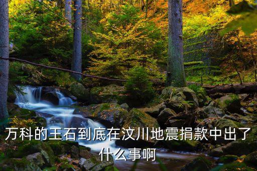 王石在汶川地震說了什么話，王石馬云怎么了他們說了什么話做了什么事