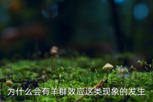 為什么會有羊群效應(yīng)的發(fā)生，什么是羊群效應(yīng)