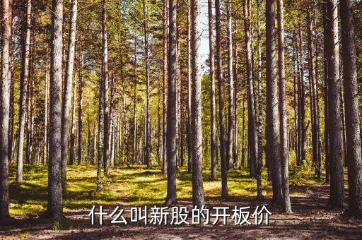 什么是開(kāi)板價(jià)，什么叫新股的開(kāi)板價(jià)
