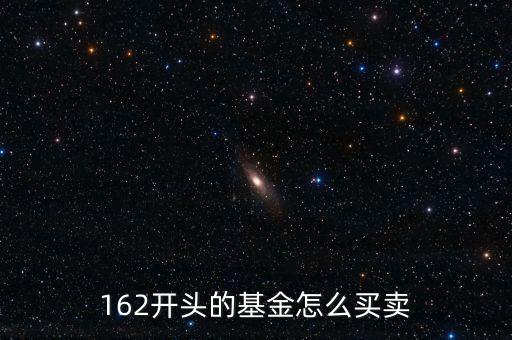162開(kāi)頭的基金怎么買賣