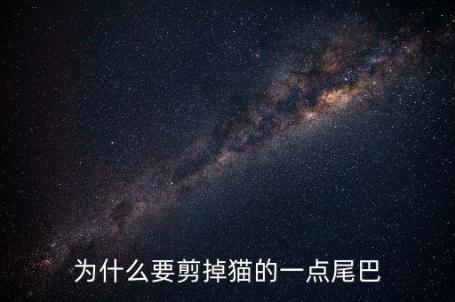 什么是貓股，想知道關(guān)于貓的所有資料