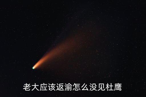 張曉強(qiáng)杜鷹為什么，發(fā)改委副主任杜鷹是誰(shuí)的孩子