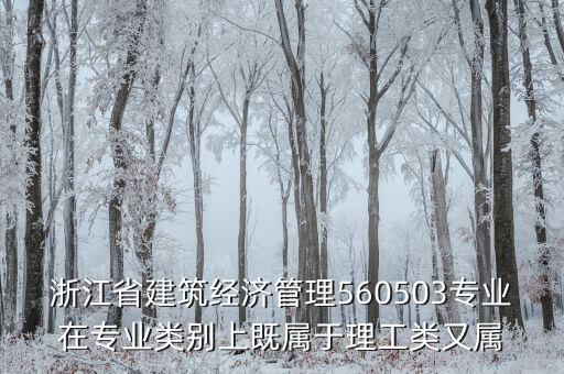 浙江省建筑經(jīng)濟管理560503專業(yè)在專業(yè)類別上既屬于理工類又屬