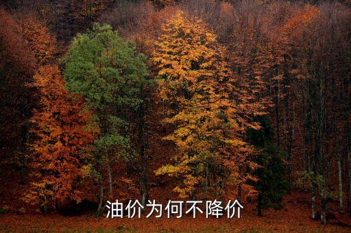 油價(jià)為什么不降評(píng)論，為什么我國的油價(jià)不下跌