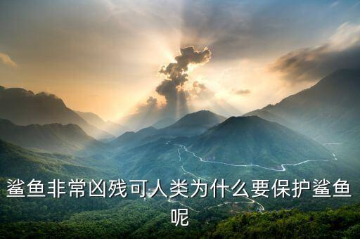 鯊魚非常兇殘可人類為什么要保護(hù)鯊魚呢
