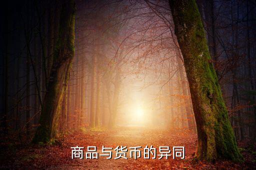貨幣和商品有什么不同，貨幣與商品的異同點 是什么