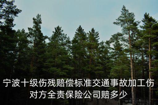 寧波十級傷殘賠償標準交通事故加工傷對方全責保險公司賠多少