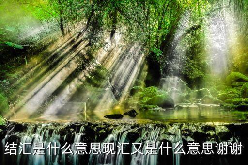 什么是支付結(jié)匯，結(jié)匯是什么意思現(xiàn)匯又是什么意思謝謝