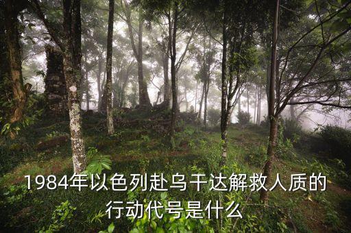 1984年以色列赴烏干達解救人質(zhì)的行動代號是什么