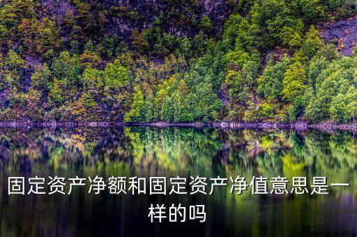 凈額結(jié)算是什么意思，固定資產(chǎn)凈額和固定資產(chǎn)凈值意思是一樣的嗎