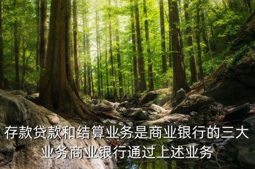 存款貸款和結(jié)算業(yè)務(wù)是商業(yè)銀行的三大業(yè)務(wù)商業(yè)銀行通過上述業(yè)務(wù)