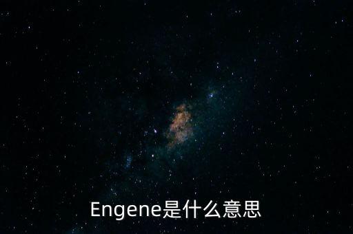 Engene是什么意思