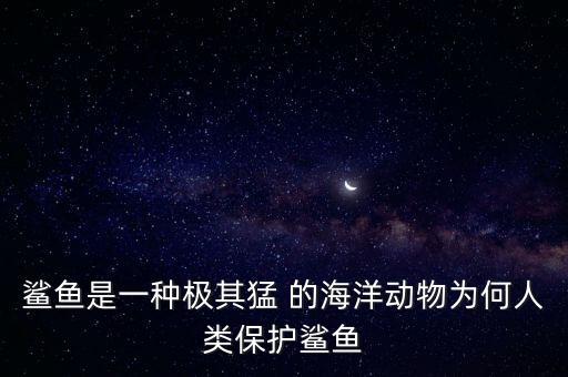 為什么要保護鯊魚，保護鯊魚5點原因簡單明確1 2 3 4 5