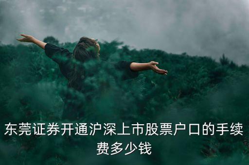 東莞證券什么時候上市，東莞證券什么時候上市的最新相關(guān)信息