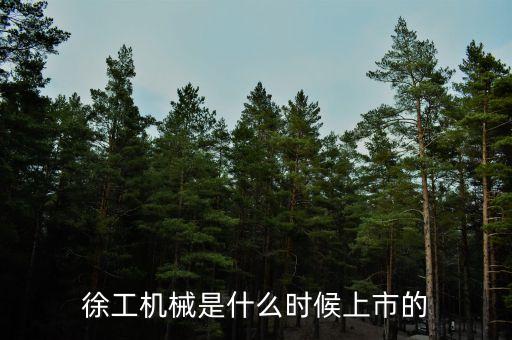 徐工機(jī)械是什么時候上市的