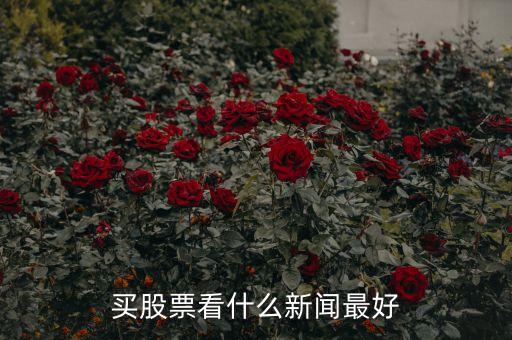 炒股看什么看什么財經(jīng)，有什么比較好的推薦股票的財經(jīng)節(jié)目