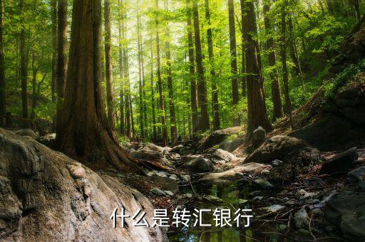 什么叫轉(zhuǎn)匯，在匯兌結(jié)算中轉(zhuǎn)匯是什么意思轉(zhuǎn)匯的收款人必須是原收款人怎么