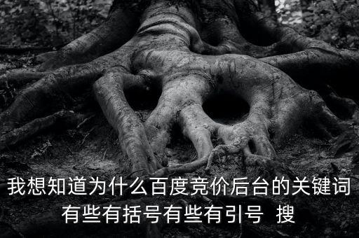 百度競價后臺計劃文件夾有個紅點是什么意思，百度競價后臺里面可以看到ip排除有兩個但是設(shè)置里沒看到ip排除