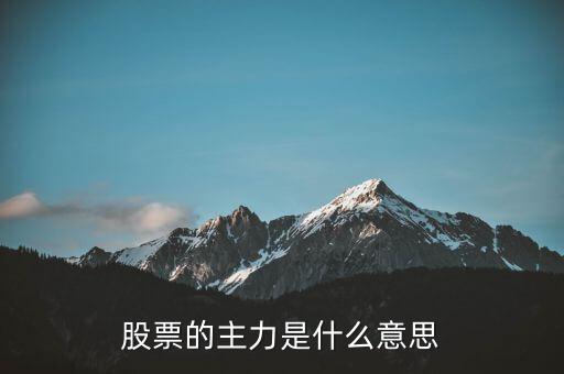 股票的主力是什么意思