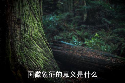國琪意義是什么，國徽象征的意義是什么