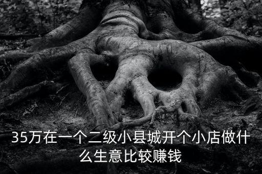 35萬(wàn)在一個(gè)二級(jí)小縣城開(kāi)個(gè)小店做什么生意比較賺錢(qián)