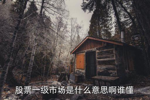 股市一級(jí)市場(chǎng)是什么意思，知道股市中的一級(jí)市場(chǎng)是什么概念嗎