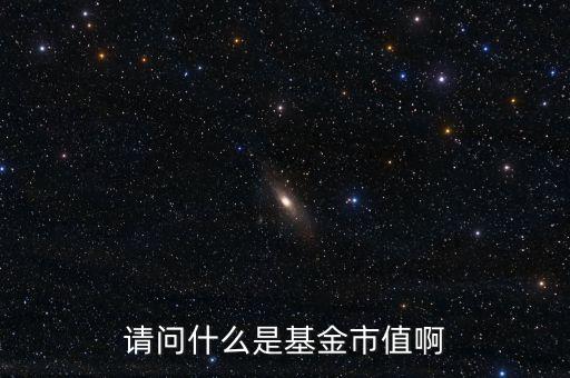 基金總市值是什么，股票里的基金市值是什么意思