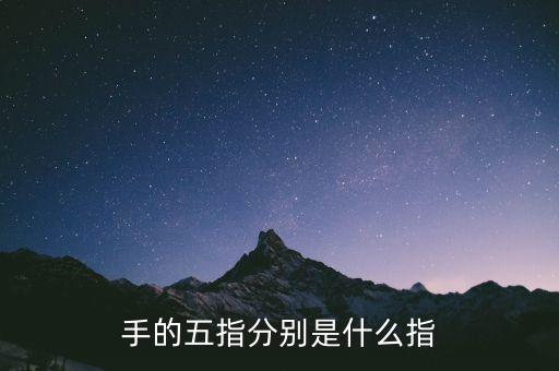五指最后小指是什么指，五指 怎么分別