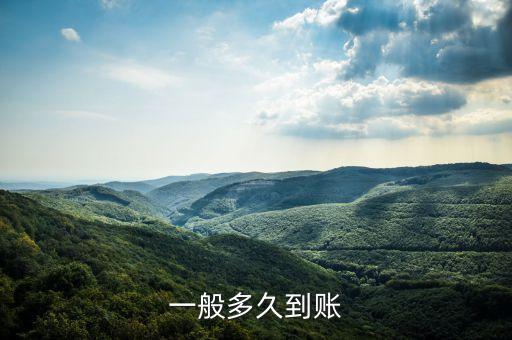 小額時(shí)實(shí)支付什么時(shí)候到賬，一般多久到賬