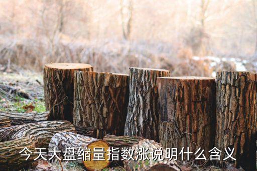 今天大盤縮量指數(shù)漲說(shuō)明什么含義