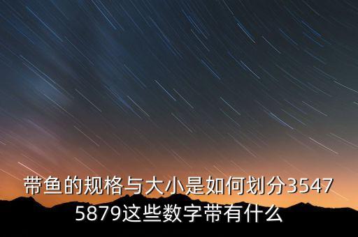 什么是天價魚，世界上什么魚最昂貴