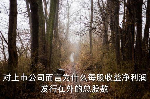 對(duì)上市公司而言為什么每股收益凈利潤(rùn)發(fā)行在外的總股數(shù)
