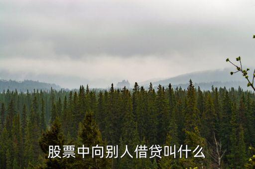 借錢炒股的叫什么，股票中向別人借貸叫什么