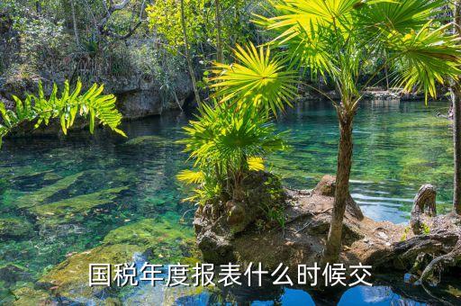 國稅年度報(bào)表什么時候交