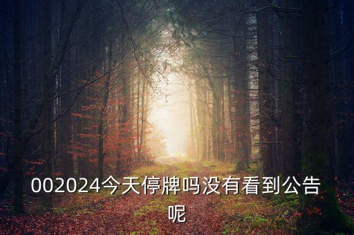 蘇寧云商為什么停牌，蘇寧為何停牌了