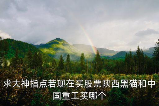 求大神指點(diǎn)若現(xiàn)在買股票陜西黑貓和中國重工買哪個(gè)