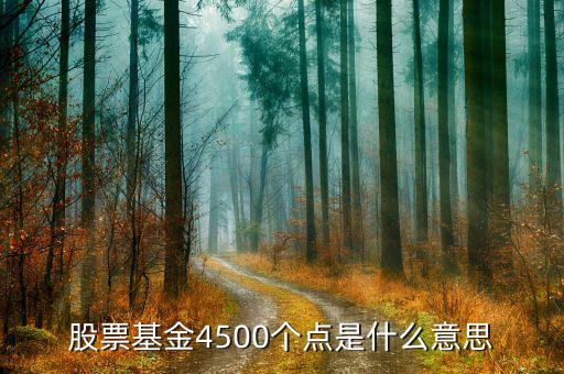股票4500點是什么意思，4500點以下不減持是什么意思