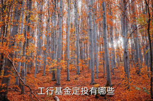 工行什么定投基金，工行基金定投哪個好推薦一下我是新手