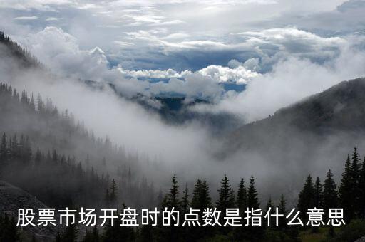 股市點(diǎn)數(shù)是什么意思，股票市場(chǎng)開盤時(shí)的點(diǎn)數(shù)是指什么意思