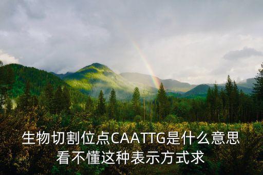 什么是破位點，生物切割位點CAATTG是什么意思看不懂這種表示方式求