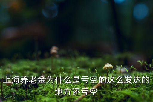 上海養(yǎng)老金為什么是虧空的這么發(fā)達的地方還虧空