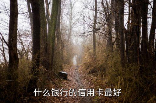 什么銀行信用卡最好，信用卡哪個(gè)銀行的好