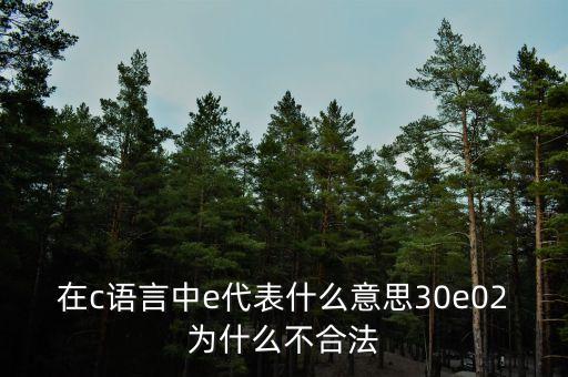 it指數(shù)是什么意思，在c語言中e代表什么意思30e02為什么不合法