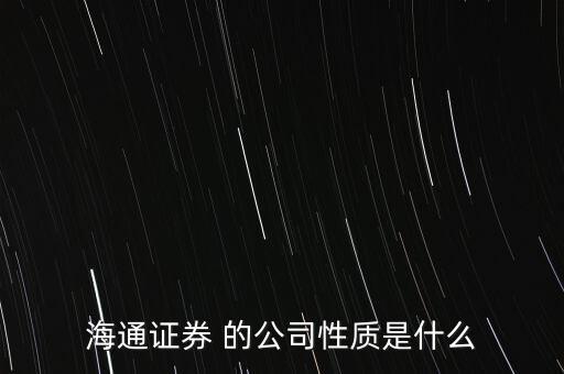 海通證券 的公司性質(zhì)是什么