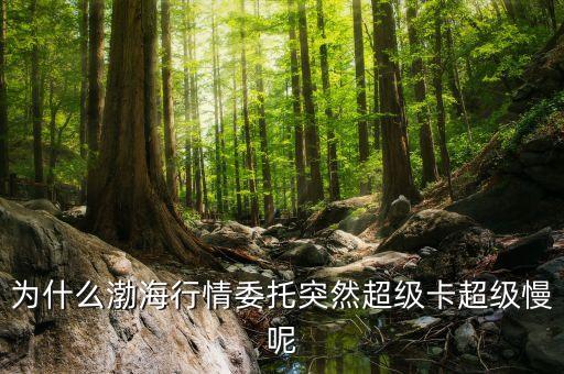 為什么渤海行情委托突然超級(jí)卡超級(jí)慢呢