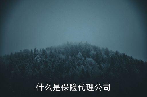 保險(xiǎn)代理公司是什么行業(yè)，保險(xiǎn)代理公司屬于什么行業(yè)