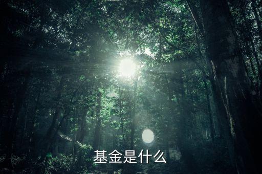 基金是什么東西，基金是什么